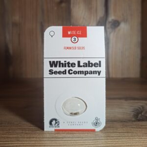 Sensi Seeds White Ice -3-Feminised Seeds