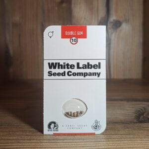 Sensi Seeds White Label Double Gum -10-Regular